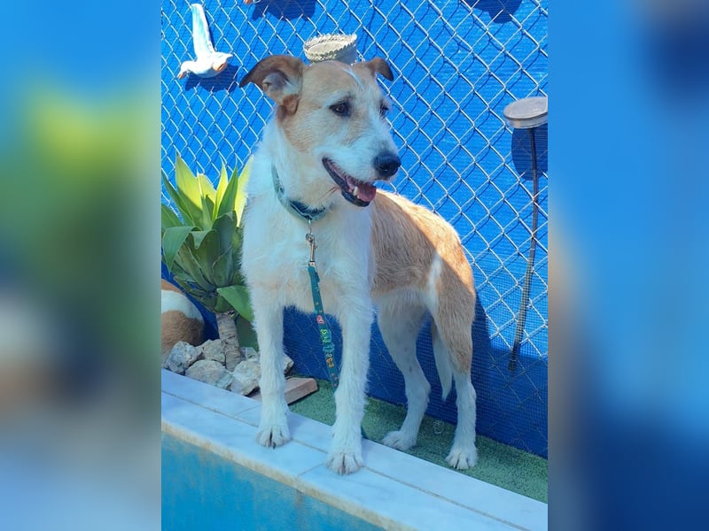 BIENE möchte ankommen