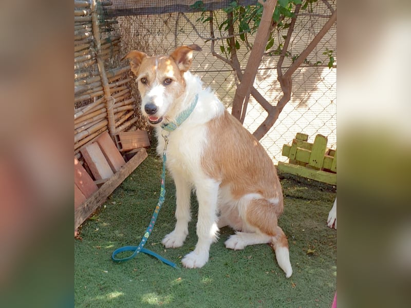 BIENE möchte ankommen