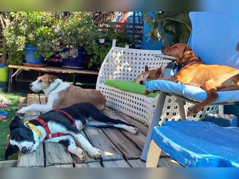 BIENE möchte ankommen