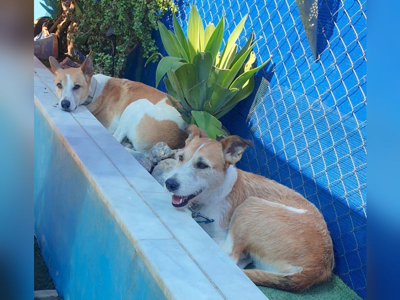 BIENE möchte ankommen