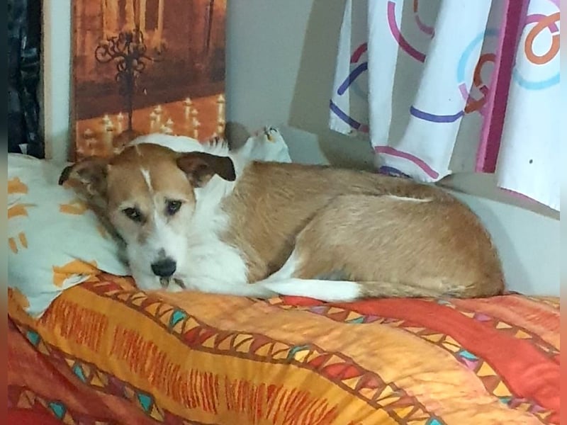 BIENE möchte ankommen