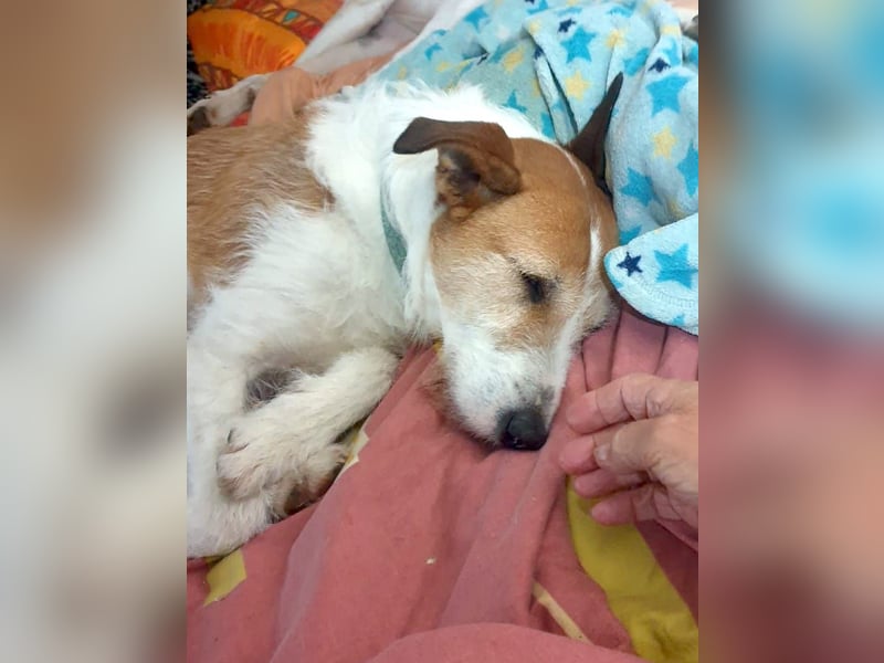 BIENE möchte ankommen