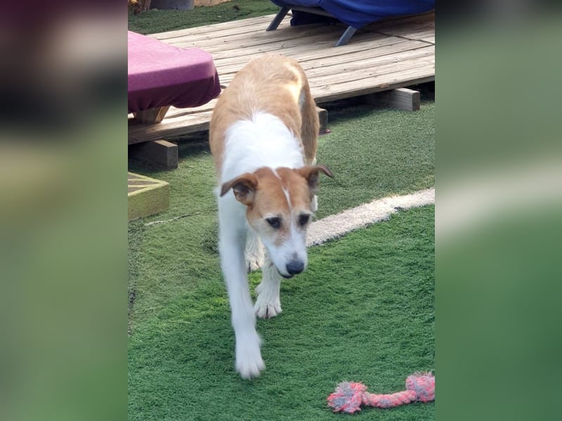 BIENE möchte ankommen