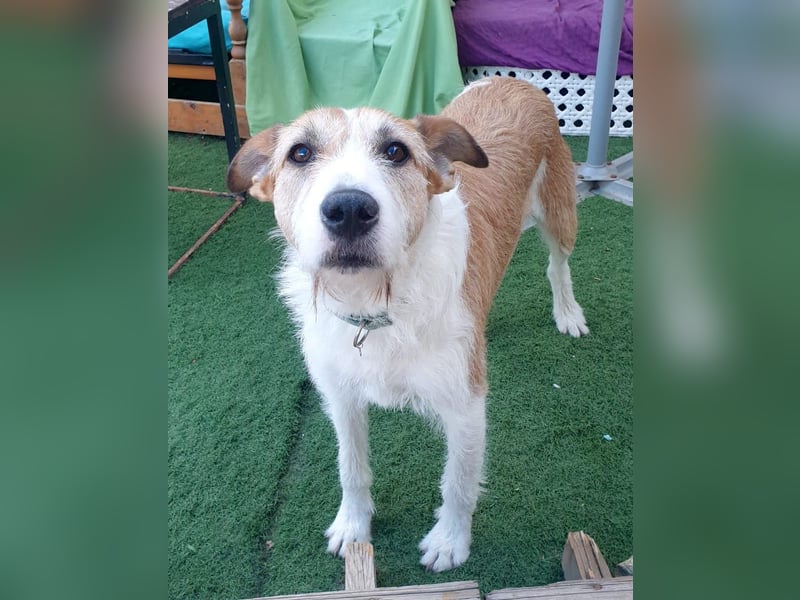 BIENE möchte ankommen