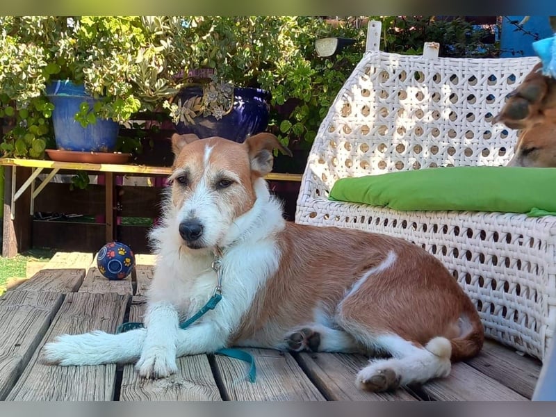 BIENE möchte ankommen