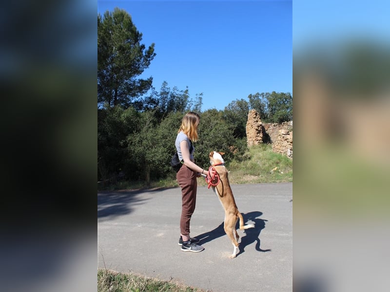 Vega – aufgeschlossener Sonnenschein