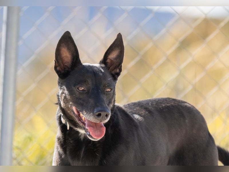 ❤️ CAPITAN ❤️