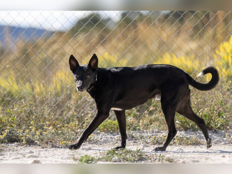 ❤️ CAPITAN ❤️