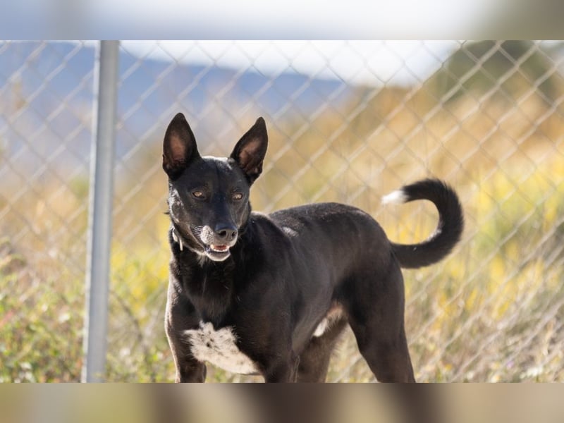 ❤️ CAPITAN ❤️