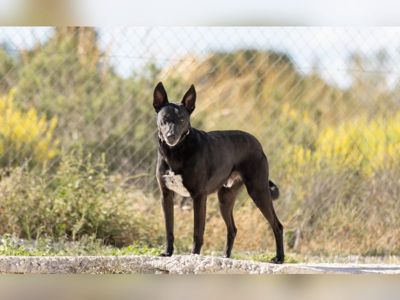 ❤️ CAPITAN ❤️