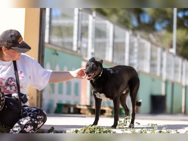 ❤️ CAPITAN ❤️