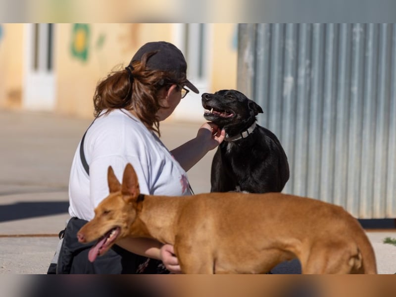 ❤️ CAPITAN ❤️