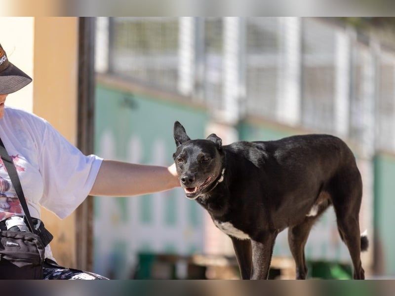 ❤️ CAPITAN ❤️