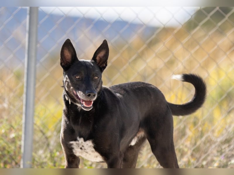 ❤️ CAPITAN ❤️