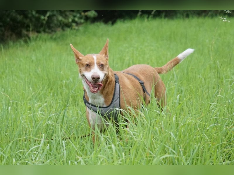 Notfall Boomer - Unser Pechvogel verliert schon wieder sein Zuhause