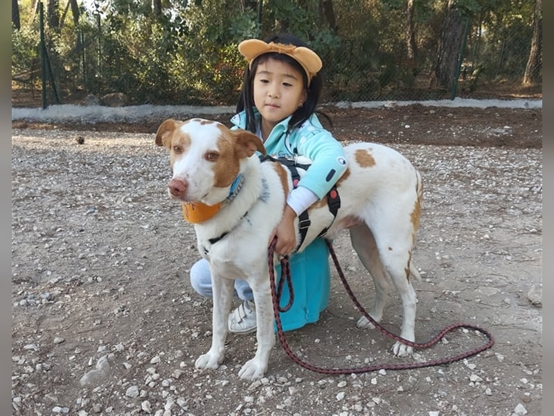 *RESERVIERT* Luno (Spanien) - Gute Laune-Hund und Springinsfeld