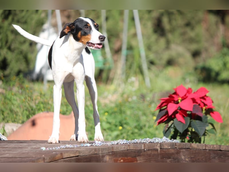 Suki sucht ihren Partner-in-Crime