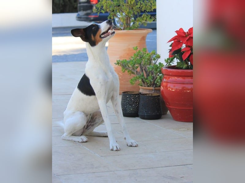 Suki sucht ihren Partner-in-Crime