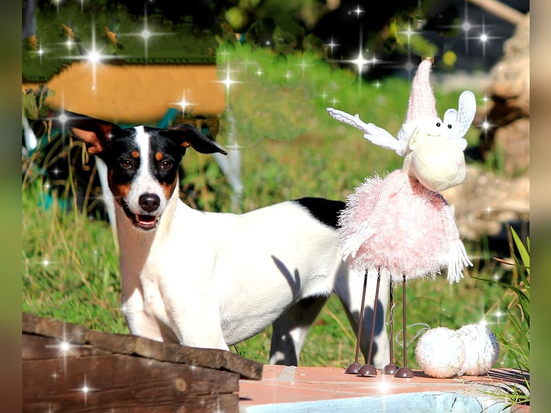 SUKI sucht ihren Partner-in-Crime