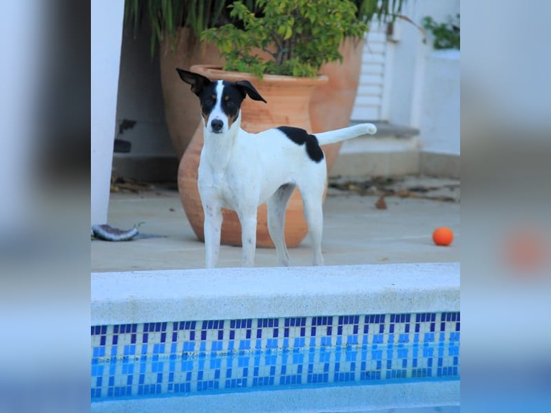 SUKI sucht ihren Partner-in-Crime