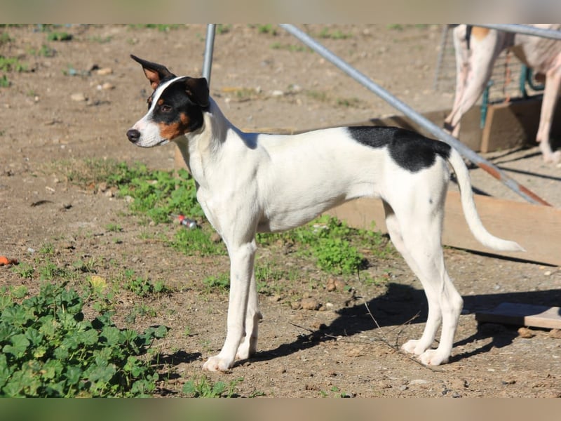 SUKI sucht ihren Partner-in-Crime