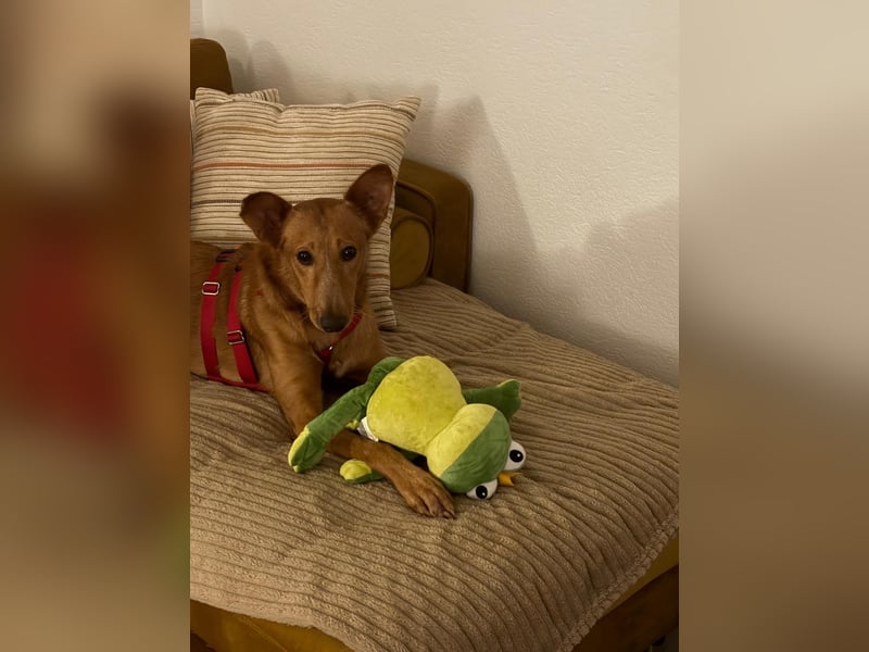 Mario 2 - lieb, sozial und sportlich