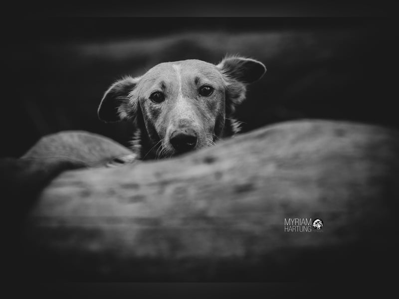 Mario 2 - lieb, sozial und sportlich