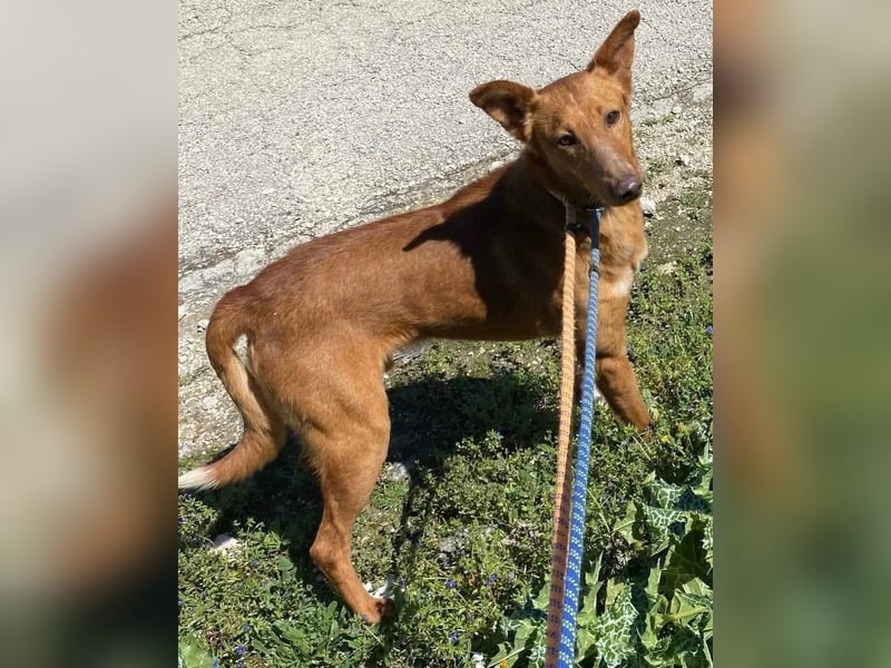 Mario 2 - lieb, sozial und sportlich