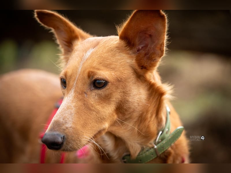 Mario 2 - lieb, sozial und sportlich