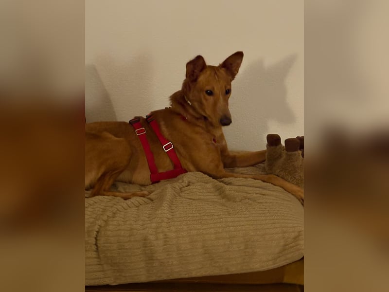 Mario 2 - lieb, sozial und sportlich