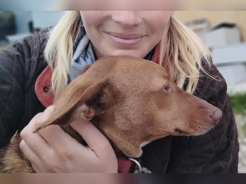 Ween (TO) liebevoll und sanft