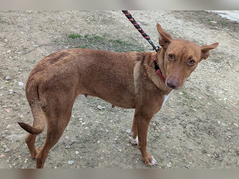 Ween (TO) liebevoll und sanft