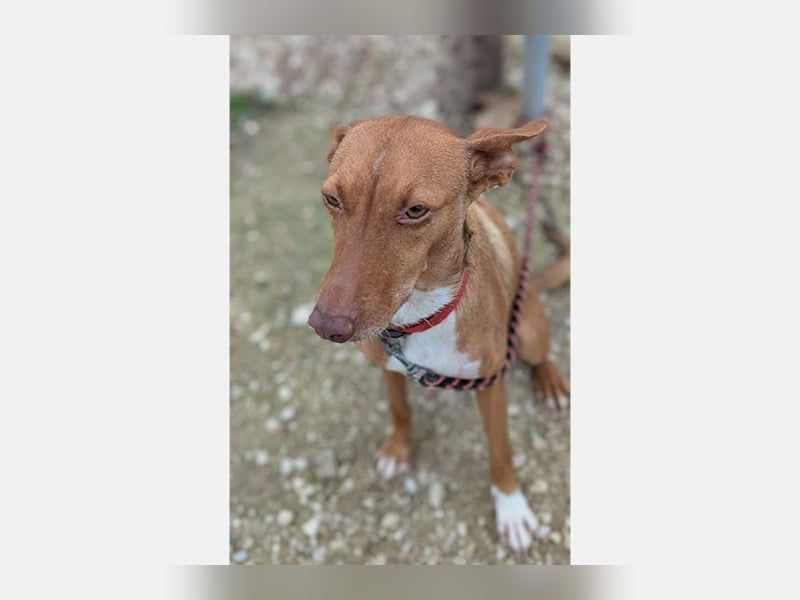 Ween (TO) liebevoll und sanft