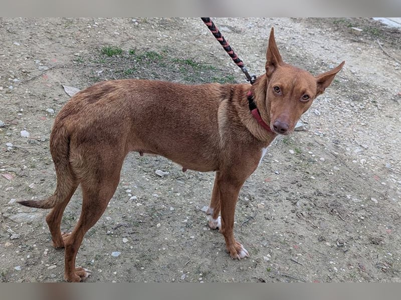 Ween (TO) liebevoll und sanft