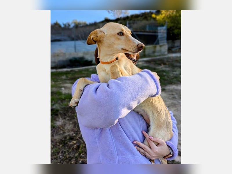 Nala2 (TO) süße Maus erobert jedes Herz im Sturm