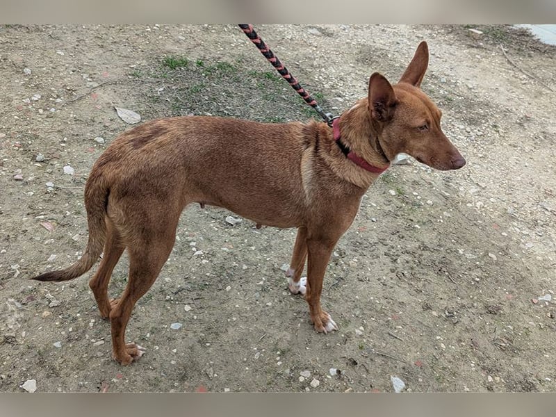 Ween (TO) liebevoll und sanft