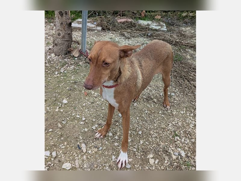 Ween (TO) liebevoll und sanft