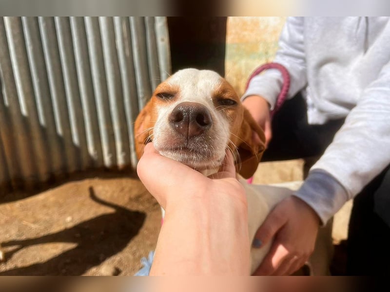 Fina auf Körbchensuche