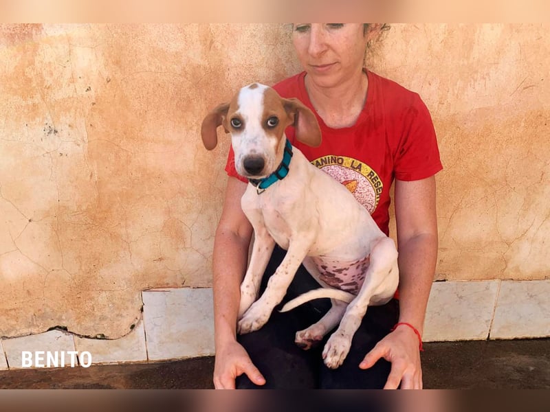 Benito sucht sein Glück