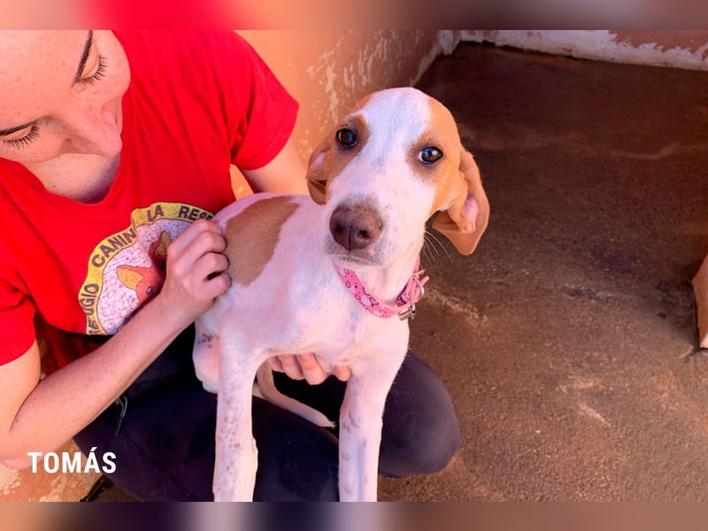 Tomas ein knuffiger kleiner Kerl