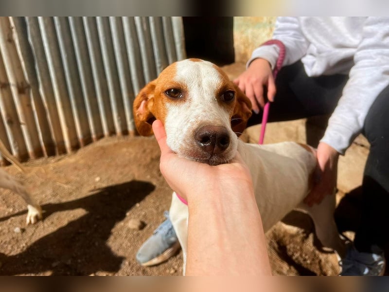 Fina auf Körbchensuche