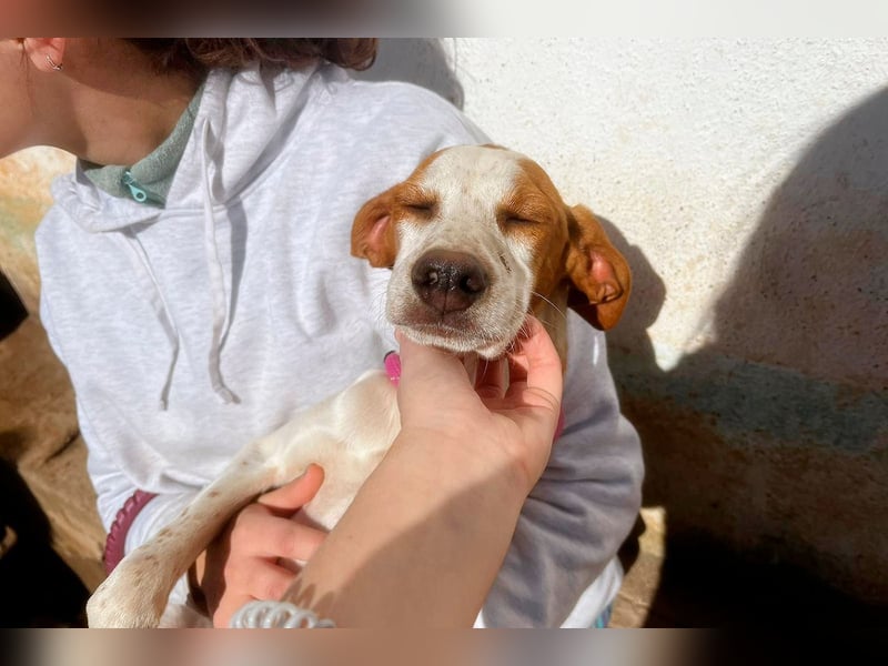 Fina auf Körbchensuche