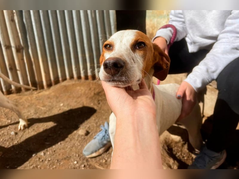 Fina auf Körbchensuche