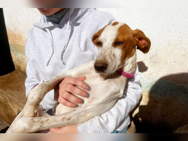 Fina auf Körbchensuche