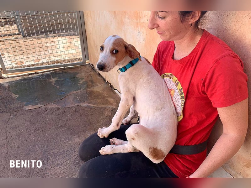 Benito sucht sein Glück