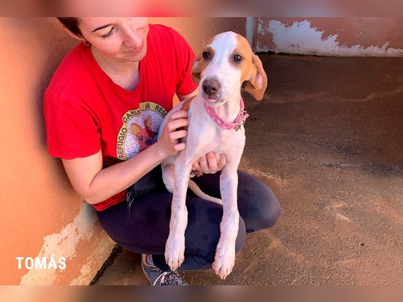 Tomas ein knuffiger kleiner Kerl