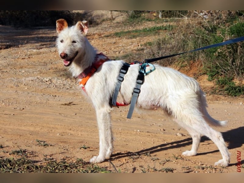 Heidel sucht ihre Familie