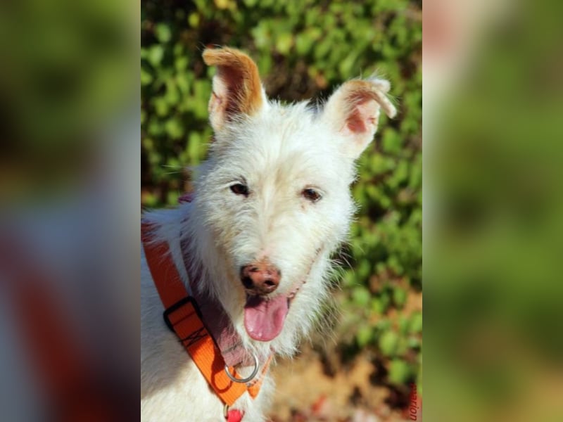 Heidel sucht ihre Familie