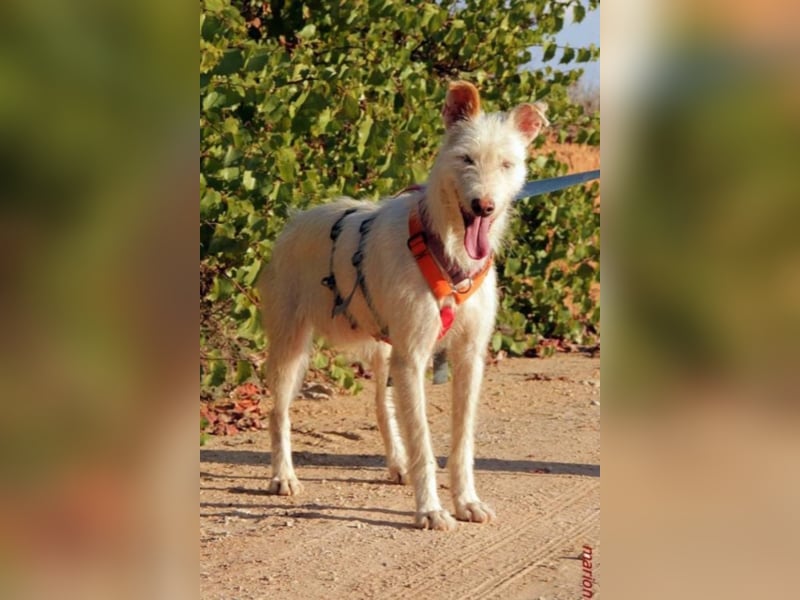 Heidel sucht ihre Familie