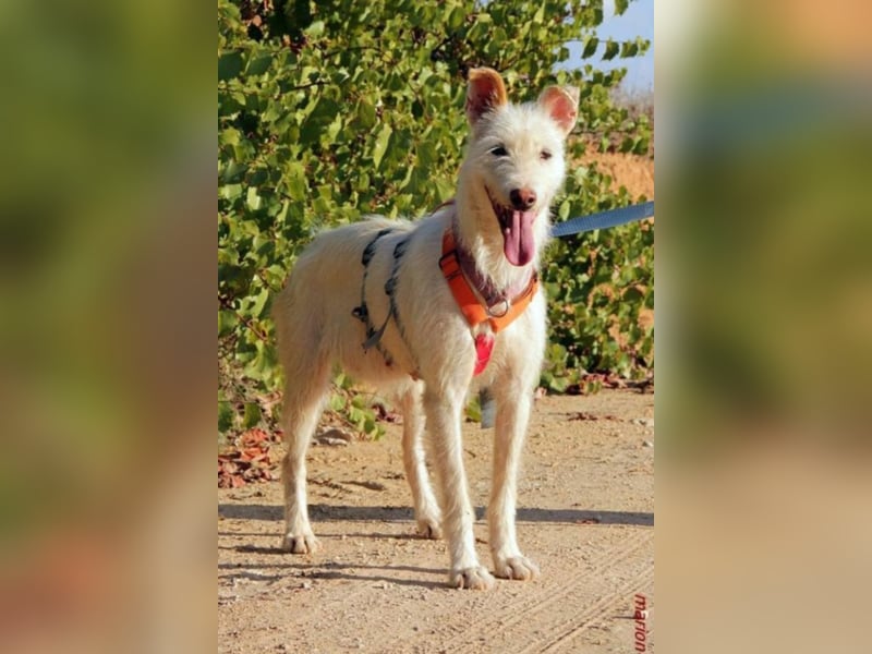 Heidel sucht ihre Familie